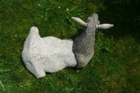 /album/a2007-08-kozy-zula-diorit/koza-zula-10-jpg/